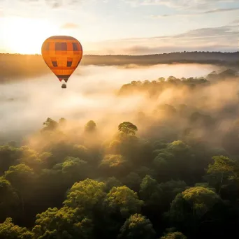 Hot air balloon ride over a misty forest canopy with sunlight filtering through the trees - Image 3