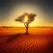 Single tree in the middle of a vast, empty desert under a blazing sun - Image 2