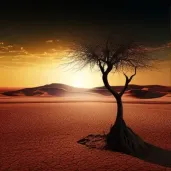 Single tree in the middle of a vast, empty desert under a blazing sun - Image 3