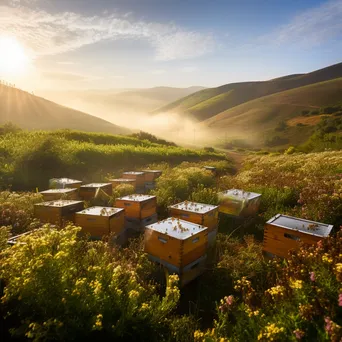 Expansive Traditional Apiaries at Sunrise