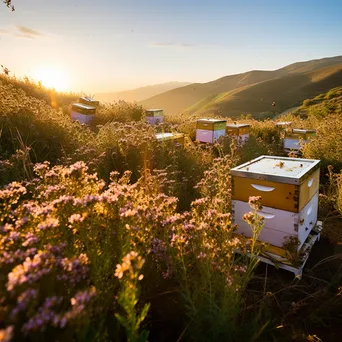 Rolling hills with traditional apiaries at sunrise, surrounded by flowers and bees. - Image 4