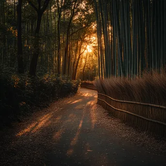 Pathway winding through a dense bamboo forest - Image 1