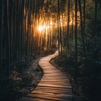 Pathway winding through a dense bamboo forest - Image 2