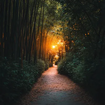 Pathway winding through a dense bamboo forest - Image 3