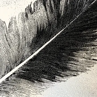 Detailed close-up of a feather captured in stipple art style showcasing its texture and patterns - Image 1