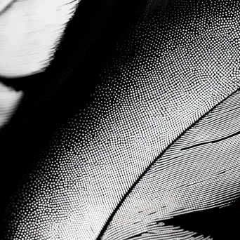 Detailed close-up of a feather captured in stipple art style showcasing its texture and patterns - Image 3