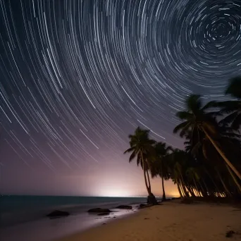 Spectacular star trails above a serene beach at night with palm trees - Image 4