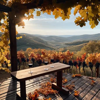 Autumn Vineyard Bliss