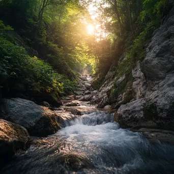 Secluded mountain stream flowing through rocky canyon with dappled sunlight. - Image 1