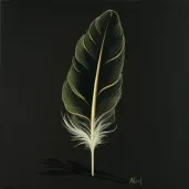 Image of a stark white feather against a black background - Image 2