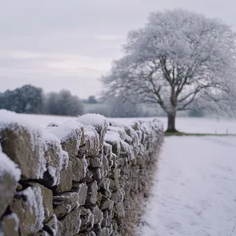 Dry stone wall covered in snow with frosted trees in the background. - Image 1