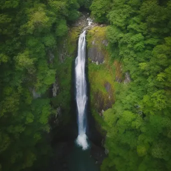 Aerial view of a majestic waterfall in a lush forest - Image 4