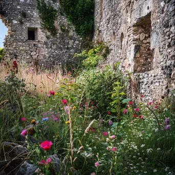 Ancient castle ruins with blooming wildflowers - Image 3