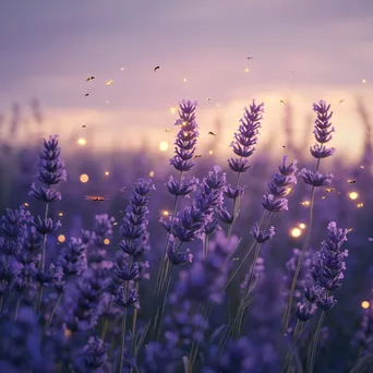 Lavender garden at dusk with glowing fireflies. - Image 3