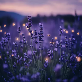 Lavender garden at dusk with glowing fireflies. - Image 4