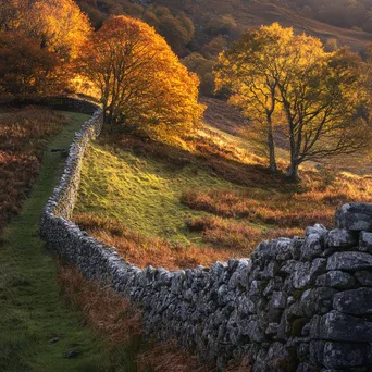 Dry stone wall surrounded by colorful autumn leaves on a hillside. - Image 2