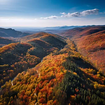 Aerial view of a mountain ridge surrounded by autumn foliage - Image 3