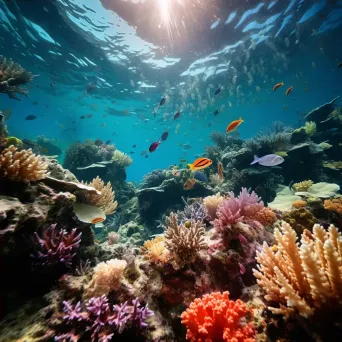 Dynamic coral reef teeming with underwater energy, shot with a Panasonic Lumix S1R. - Image 4