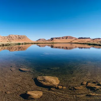 Panoramic view of a vibrant desert oasis - Image 1