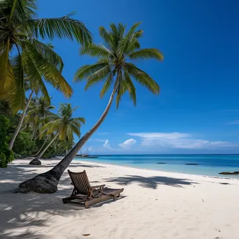 Tropical beach with lounge chairs, coconut trees, and sailboat - Image 4