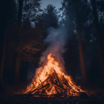 Dramatic bonfire in the woods at twilight - Image 2