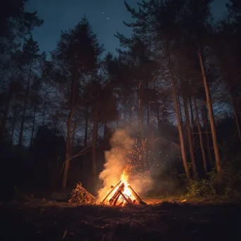 Dramatic bonfire in the woods at twilight - Image 3