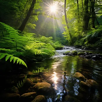 Serene natural spring with ferns and wildflowers under soft sunlight - Image 1