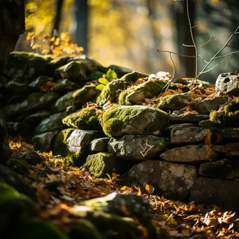 Close-up of textures on a dry stone wall with soft sunlight. - Image 2