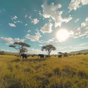 African Savannah Serenity