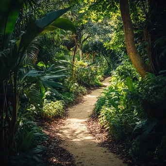 Inviting jungle path with dappled sunlight and greenery - Image 1