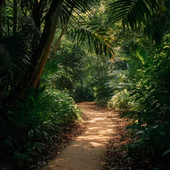 Inviting jungle path with dappled sunlight and greenery - Image 3