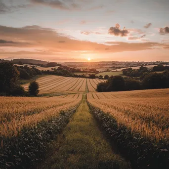 Organic farm field during sunset with crops stretching towards the horizon. - Image 1