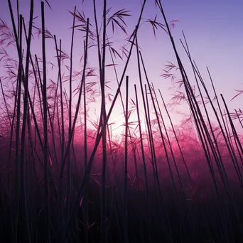 Tranquil bamboo grove at twilight with colorful sky - Image 1