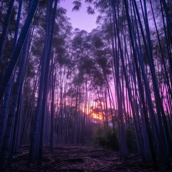 Tranquil bamboo grove at twilight with colorful sky - Image 2