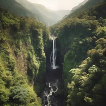 Aerial view of a waterfall in a dense forest - Image 3