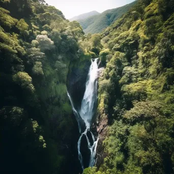 Aerial view of a waterfall in a dense forest - Image 4