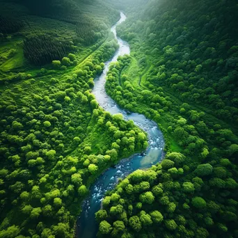 Forest and River Aerial Perspective