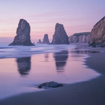 Evening Light on Coastal Sea Stacks