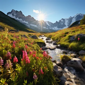 Hidden Alpine Meadow with Snow-capped Peaks