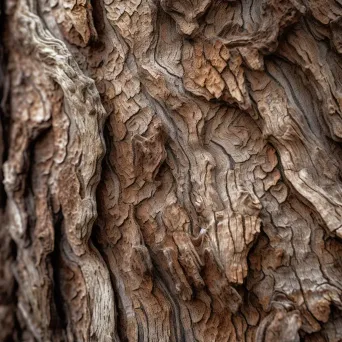 close-up of tree bark texture - Image 1