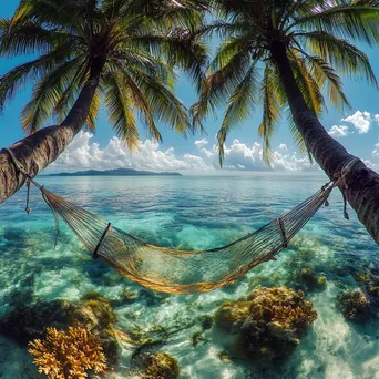 Hammock on Tropical Island