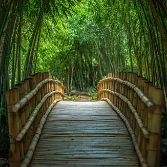 Bamboo bridge in a thriving bamboo forest - Image 3