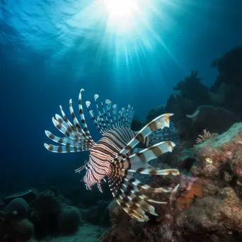 lionfish underwater - Image 1