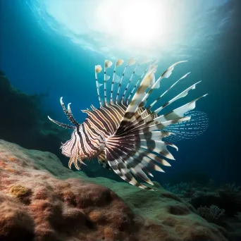 lionfish underwater - Image 2