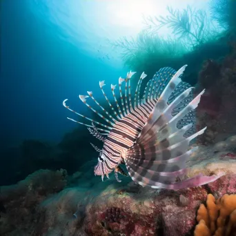 lionfish underwater - Image 4