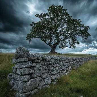 A dry stone wall next to an oak tree with dramatic clouds overhead. - Image 1