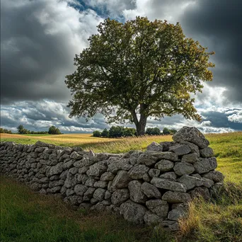 A dry stone wall next to an oak tree with dramatic clouds overhead. - Image 2