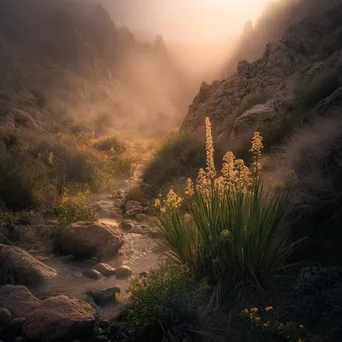 Secluded desert spring in misty environment - Image 2