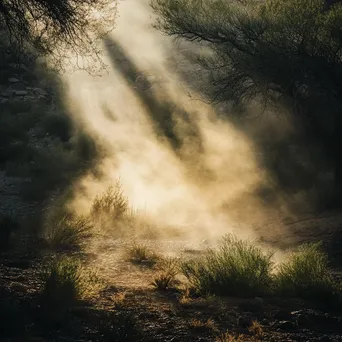 Secluded desert spring in misty environment - Image 4