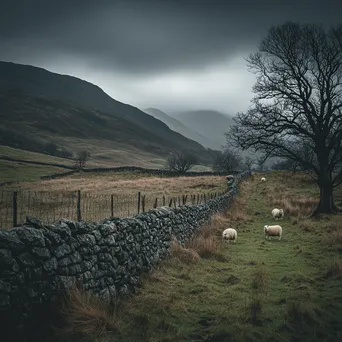 Dry stone wall in highlands with sheep grazing under a dramatic sky. - Image 1